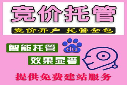 某某sem代运营公司助力企业实现线上营销目标